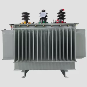 Oil Immersed Transformer